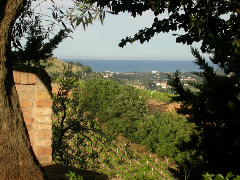 Agriturismo La Campana Villa Montefiore dellʼAso Exterior foto